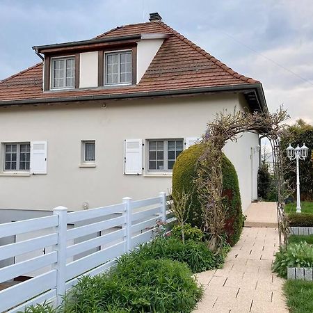 Le Papillon,Logement Cosy En Alsace Erstein Exterior foto
